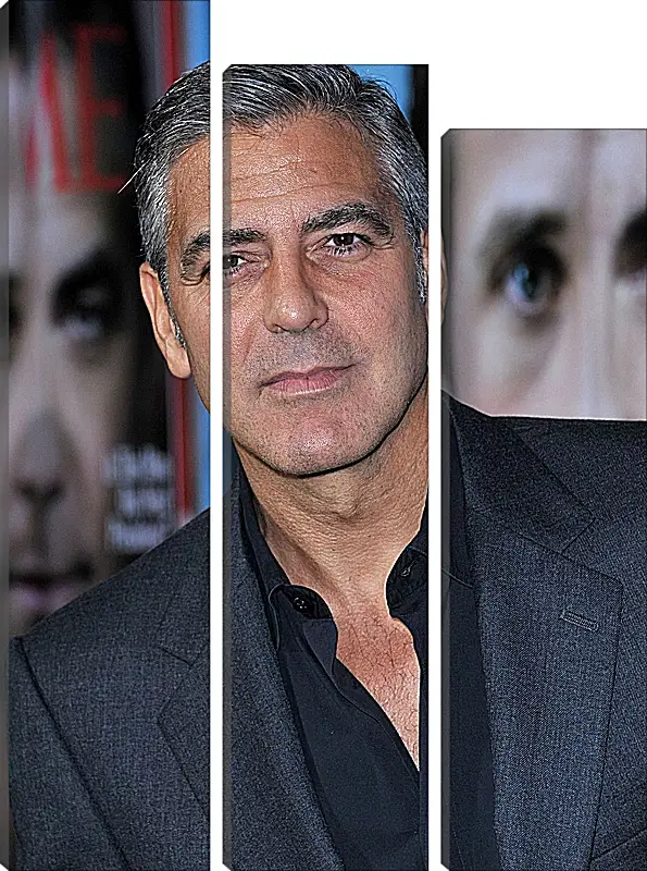 Модульная картина - Джордж Клуни. George Clooney