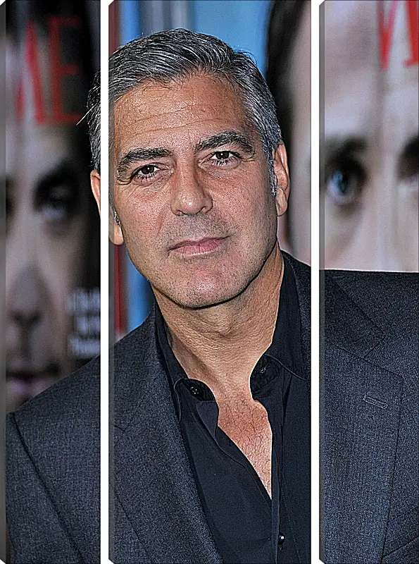 Модульная картина - Джордж Клуни. George Clooney