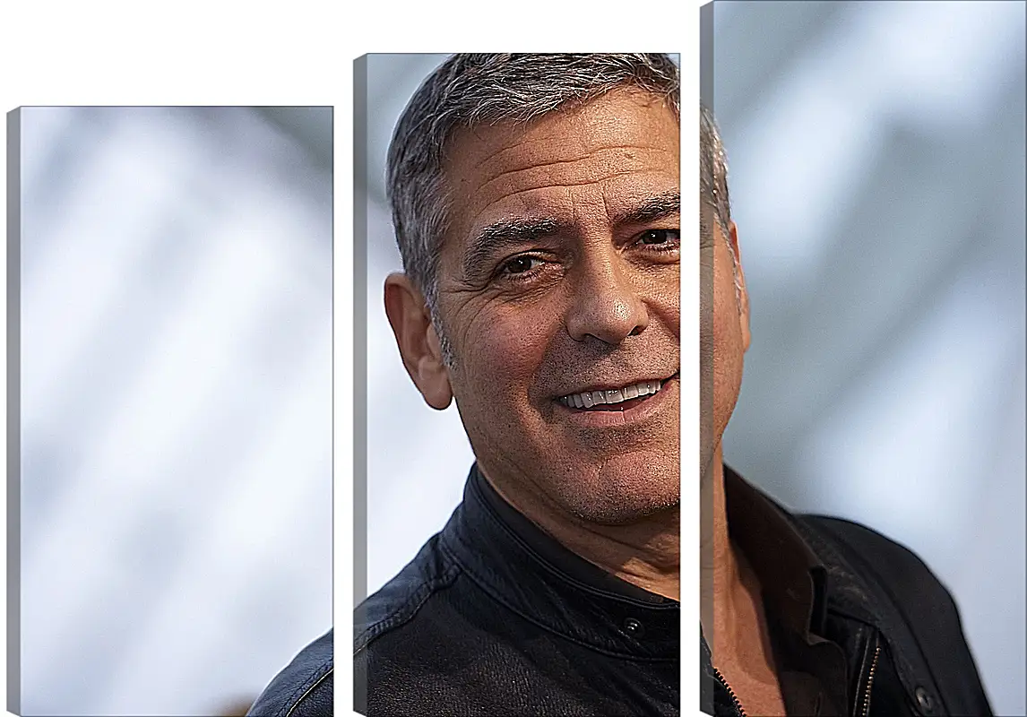 Модульная картина - Джордж Клуни. George Clooney