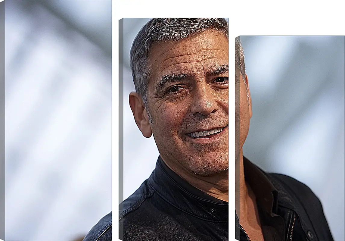 Модульная картина - Джордж Клуни. George Clooney