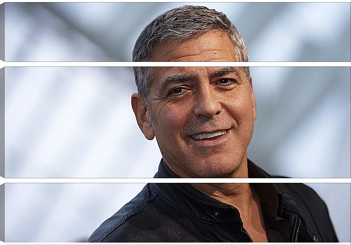 Модульная картина - Джордж Клуни. George Clooney