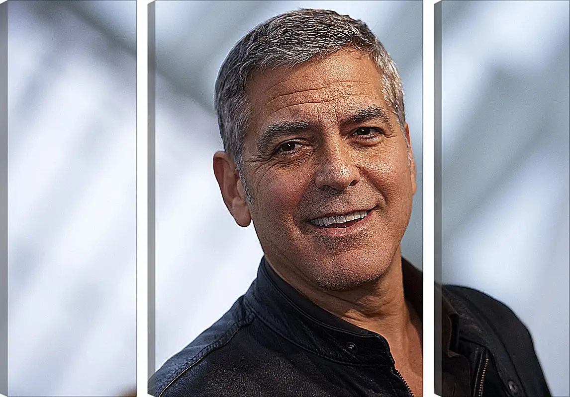 Модульная картина - Джордж Клуни. George Clooney