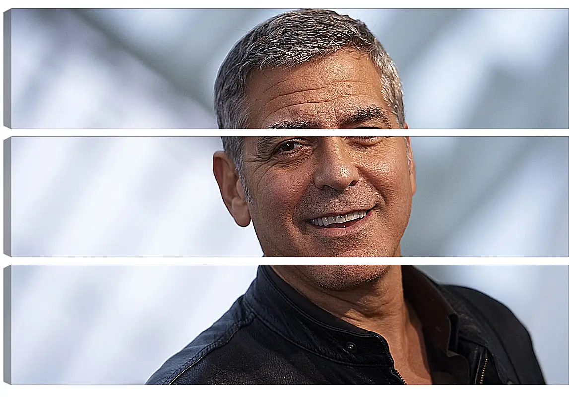 Модульная картина - Джордж Клуни. George Clooney