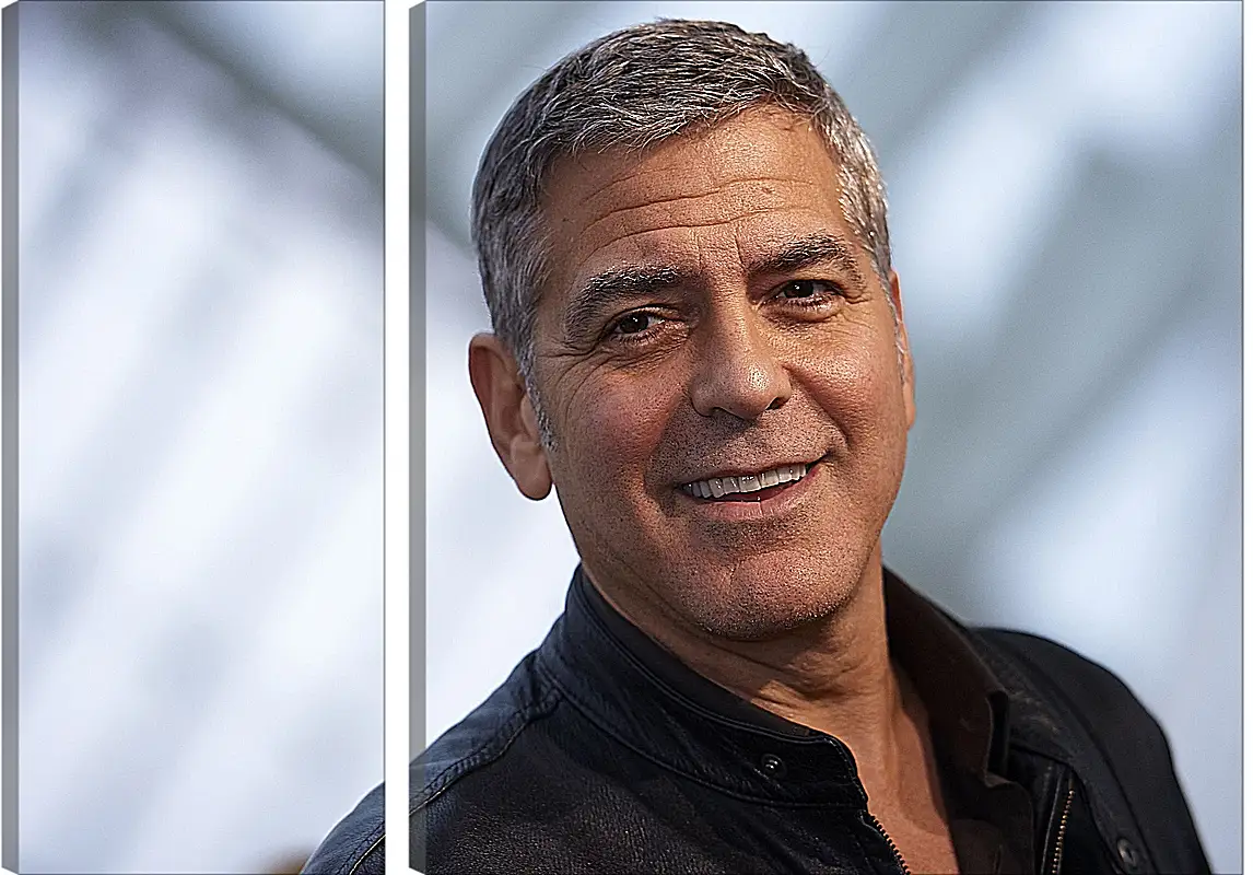 Модульная картина - Джордж Клуни. George Clooney