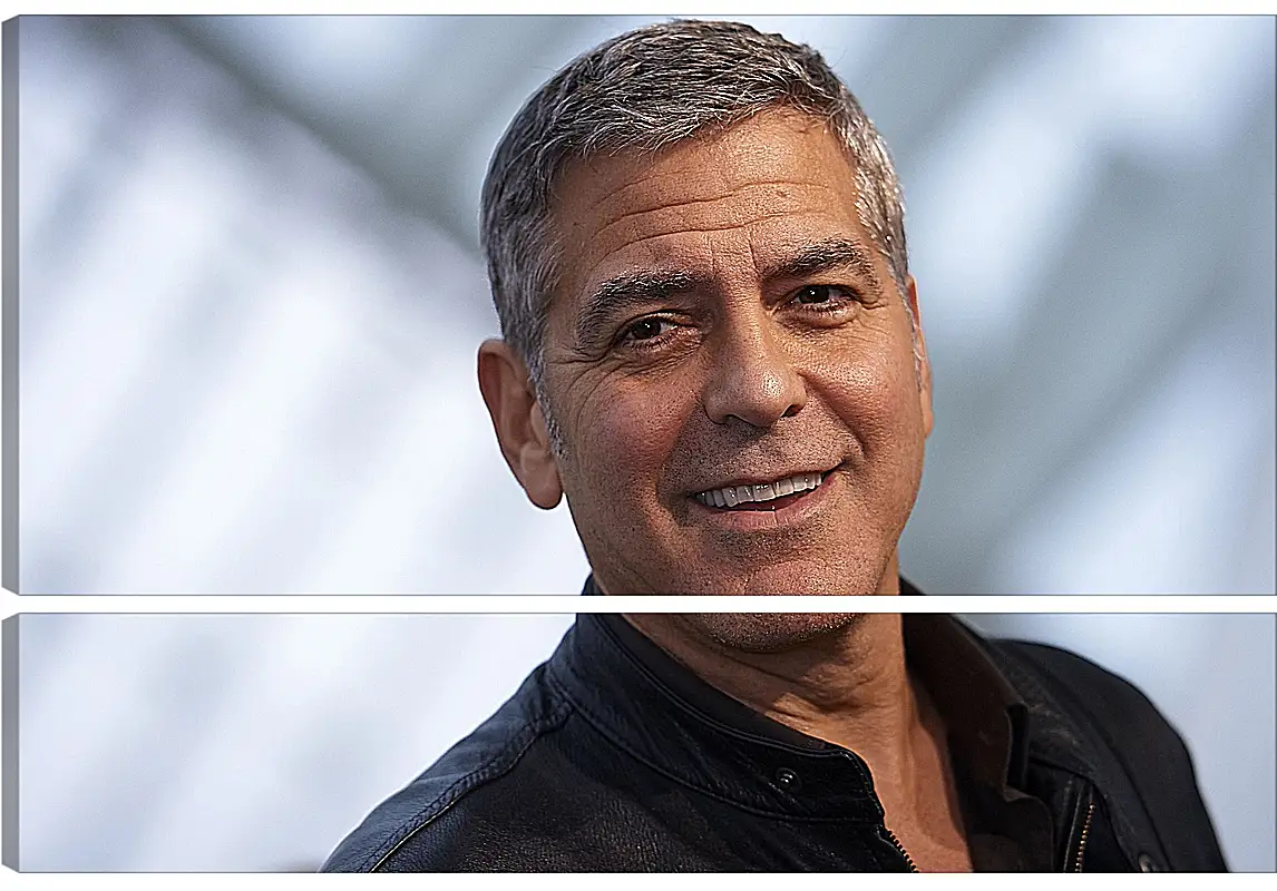 Модульная картина - Джордж Клуни. George Clooney