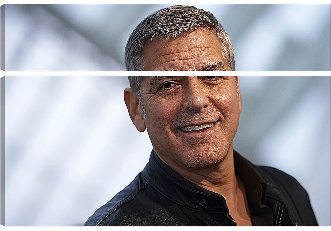 Модульная картина - Джордж Клуни. George Clooney