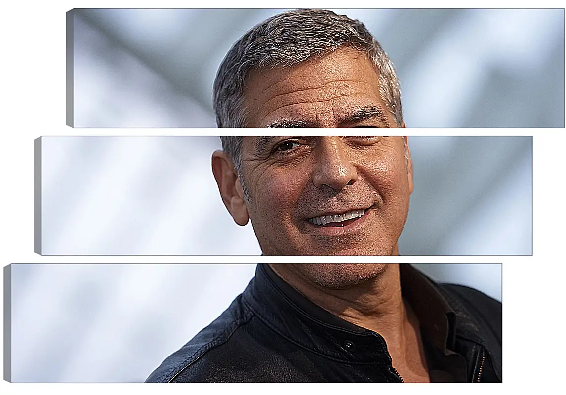 Модульная картина - Джордж Клуни. George Clooney