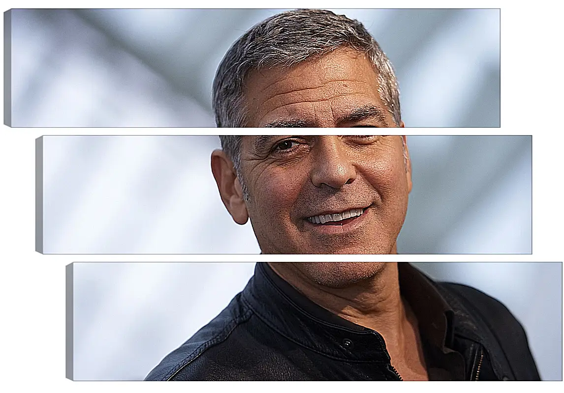 Модульная картина - Джордж Клуни. George Clooney