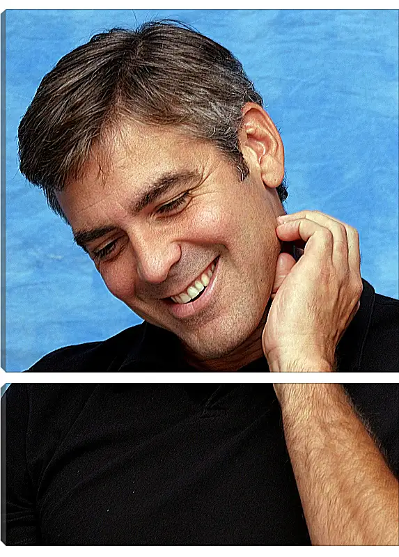 Модульная картина - Джордж Клуни. George Clooney