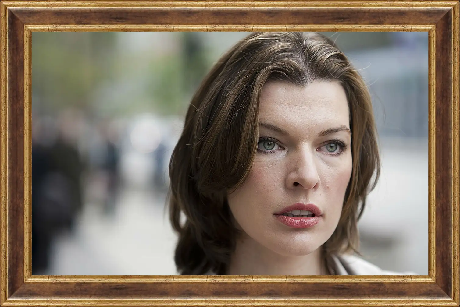 Картина в раме - Милла Йовович. Milla Jovovich