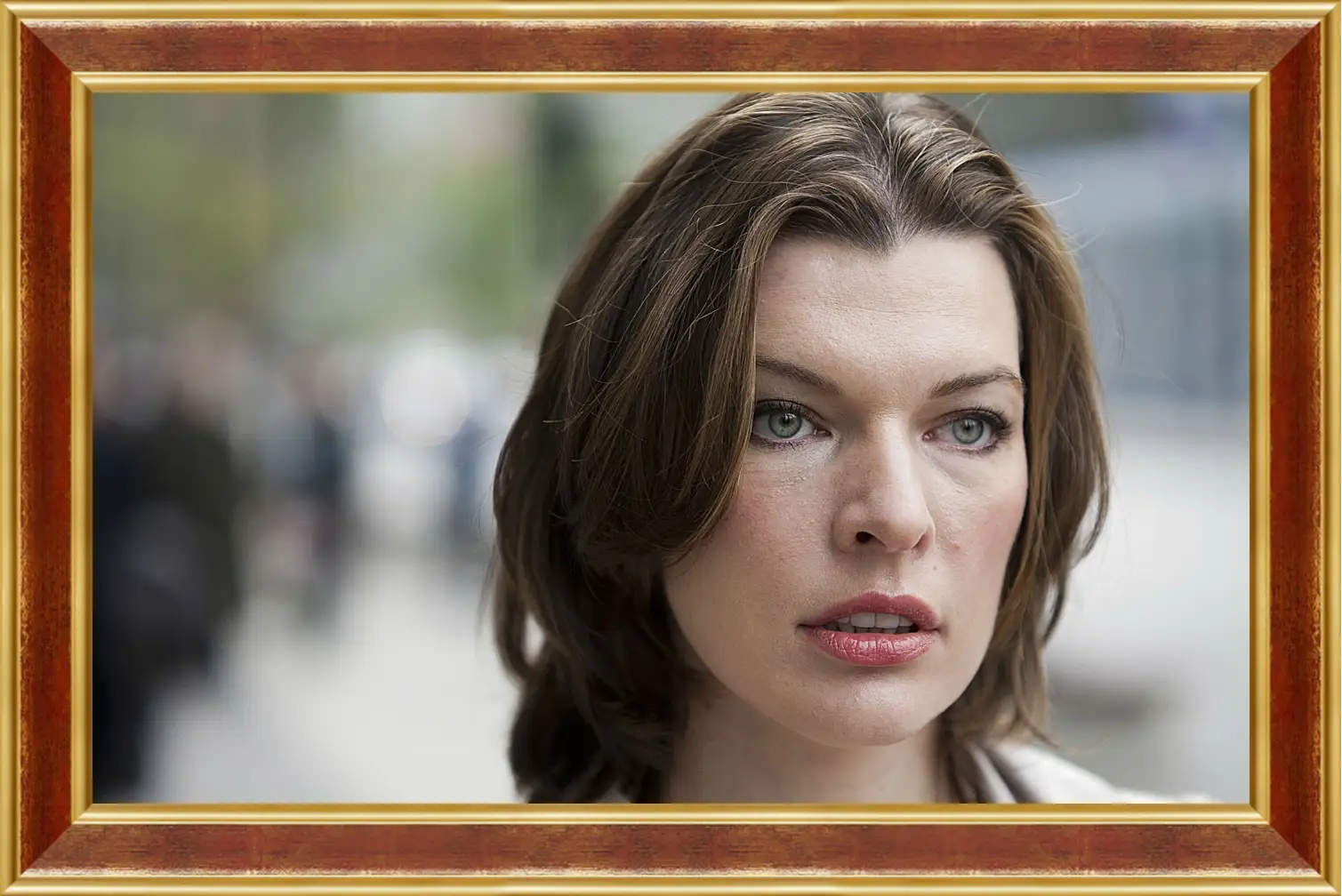 Картина в раме - Милла Йовович. Milla Jovovich