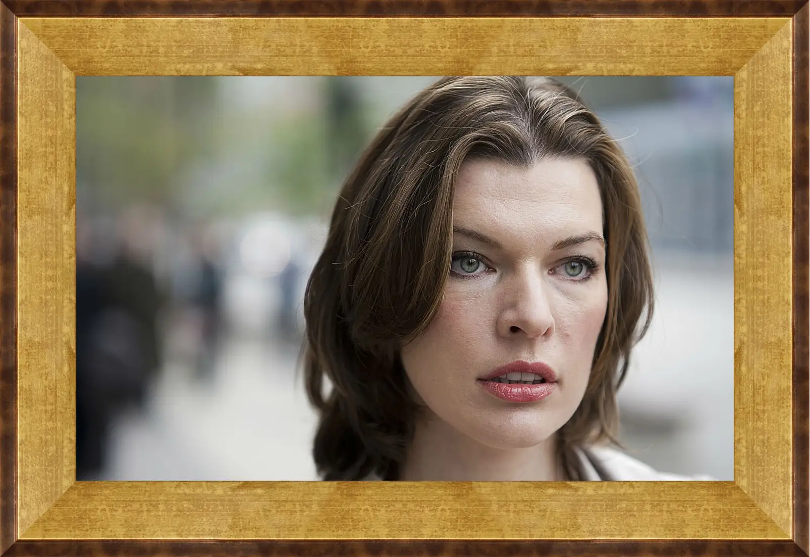 Картина в раме - Милла Йовович. Milla Jovovich