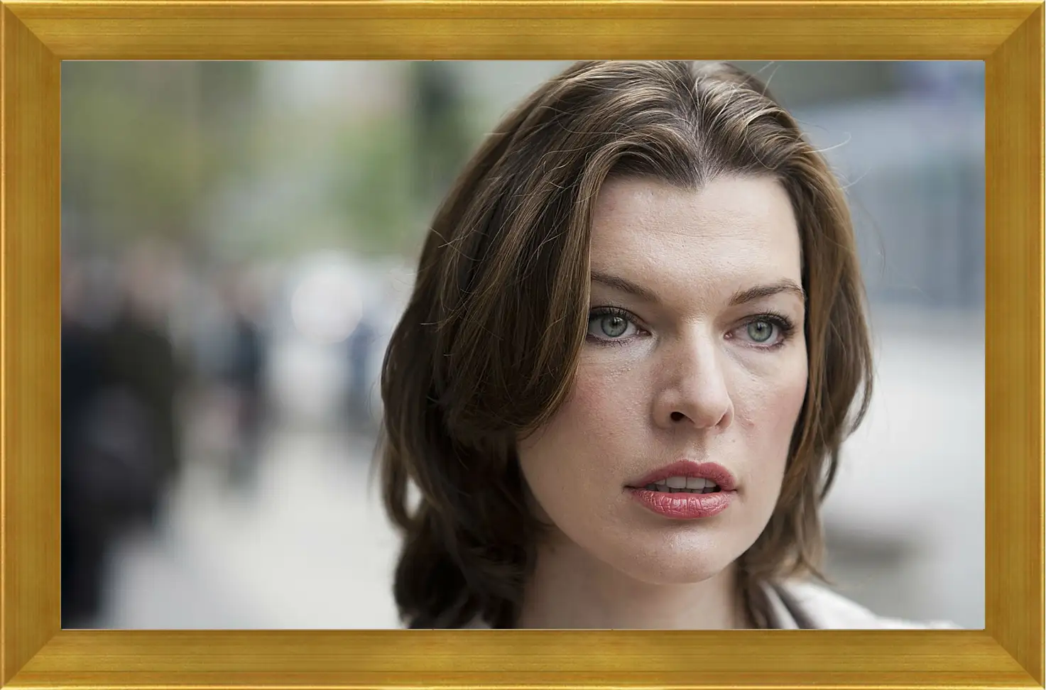 Картина в раме - Милла Йовович. Milla Jovovich