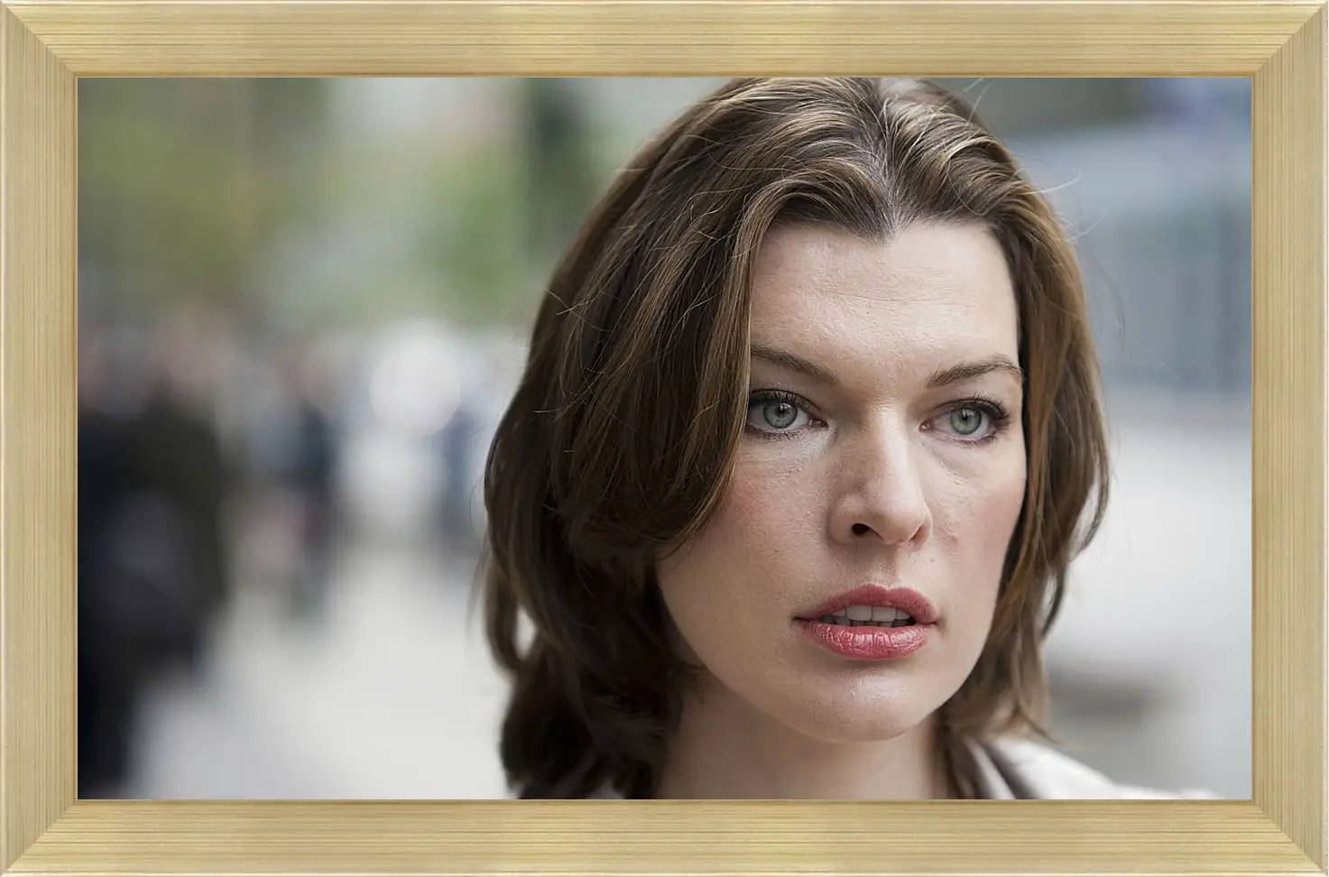 Картина в раме - Милла Йовович. Milla Jovovich