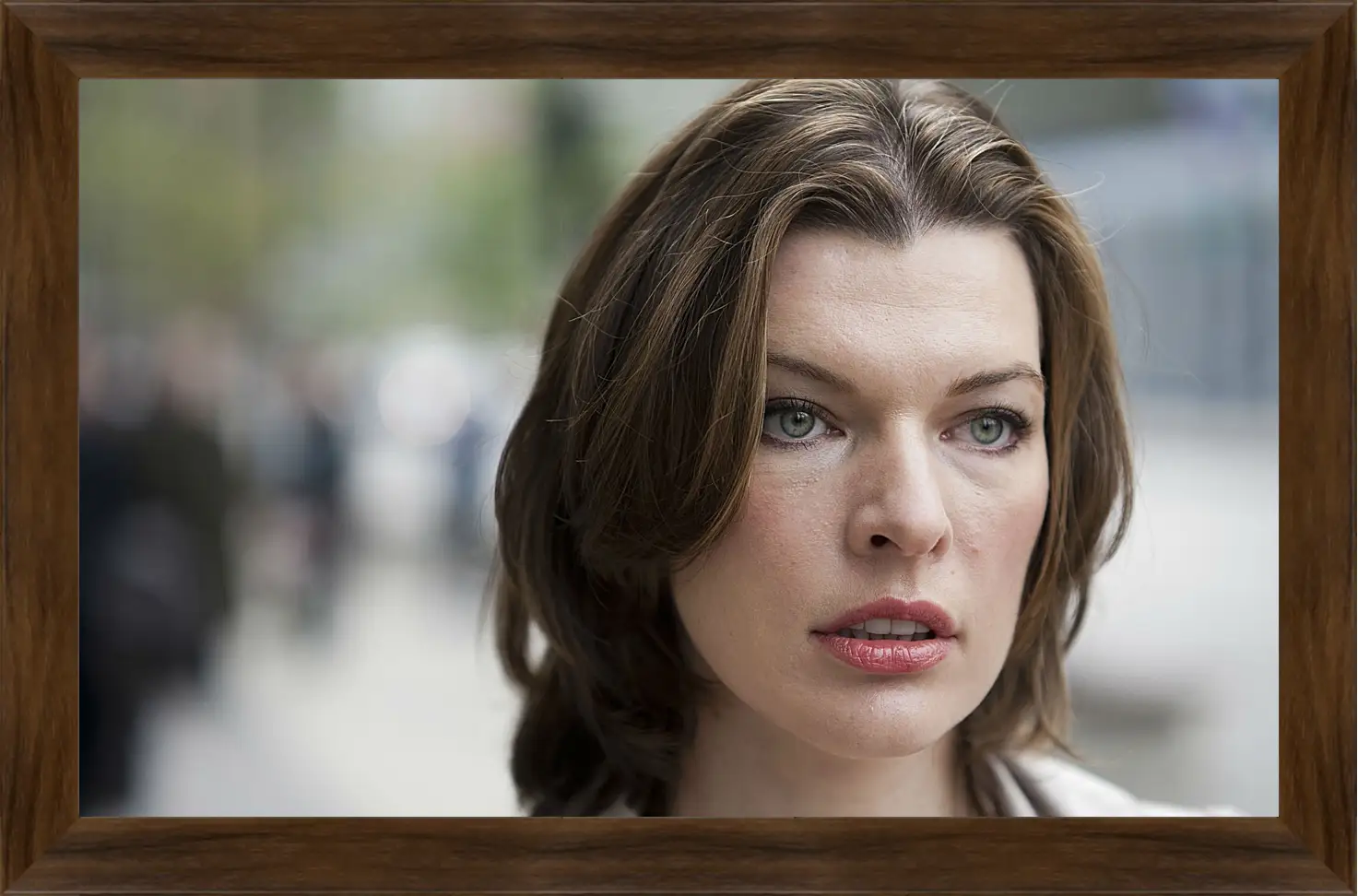 Картина в раме - Милла Йовович. Milla Jovovich