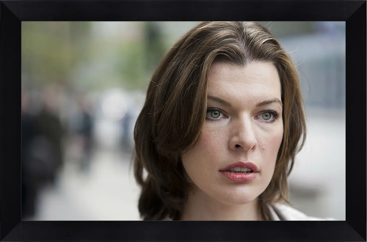 Картина в раме - Милла Йовович. Milla Jovovich