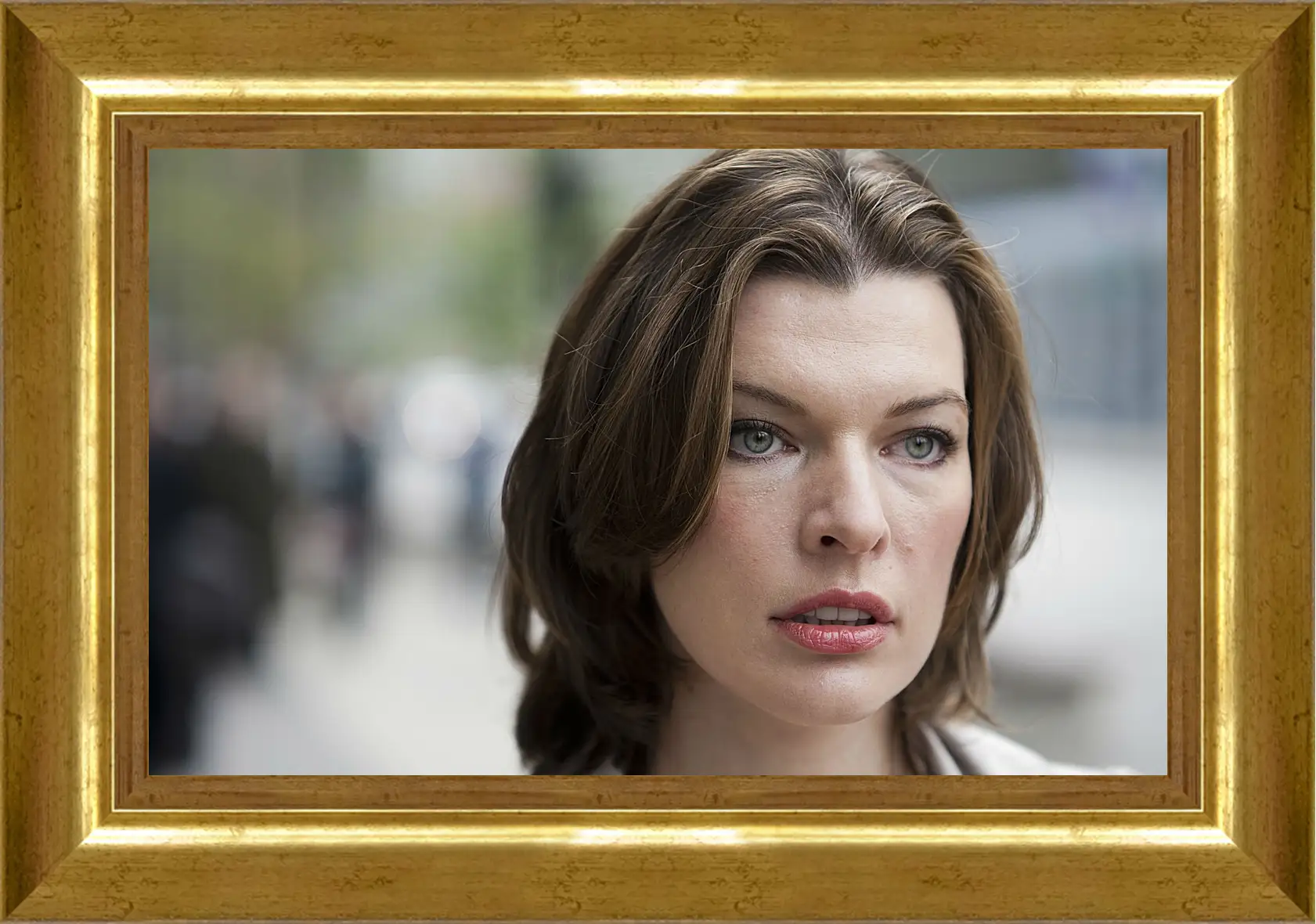 Картина в раме - Милла Йовович. Milla Jovovich