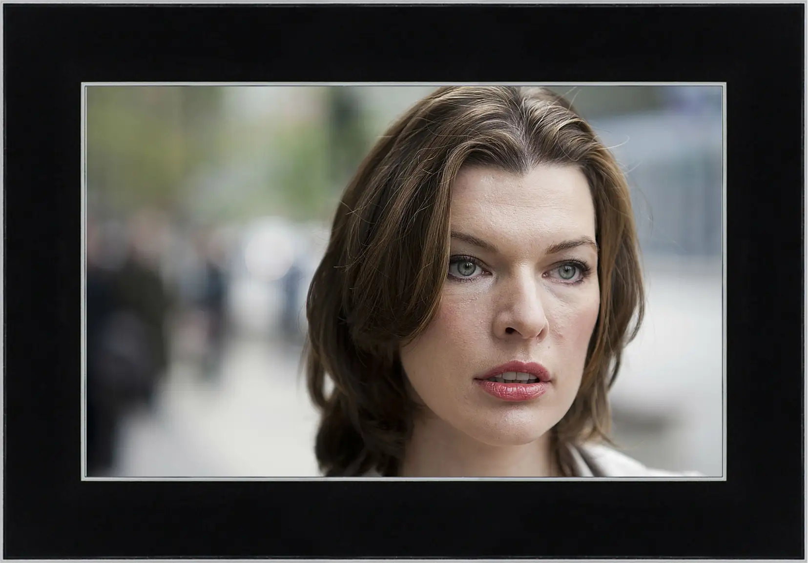 Картина в раме - Милла Йовович. Milla Jovovich