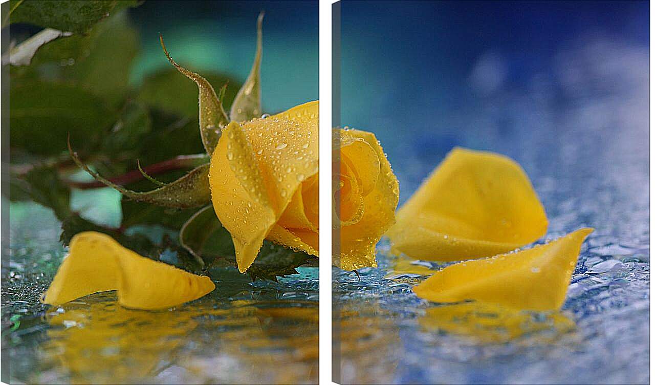 Модульная картина - Желтая роза
