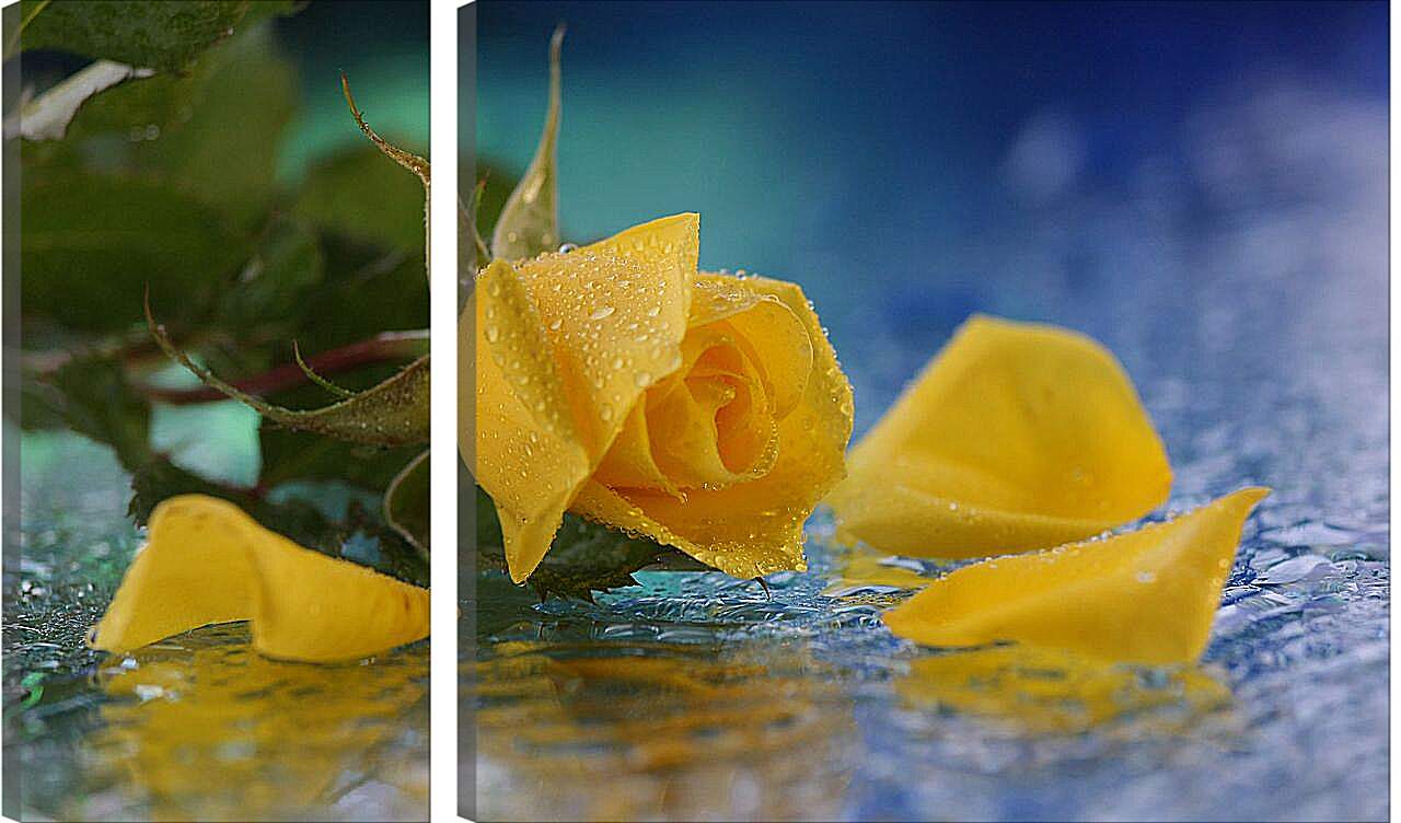 Модульная картина - Желтая роза