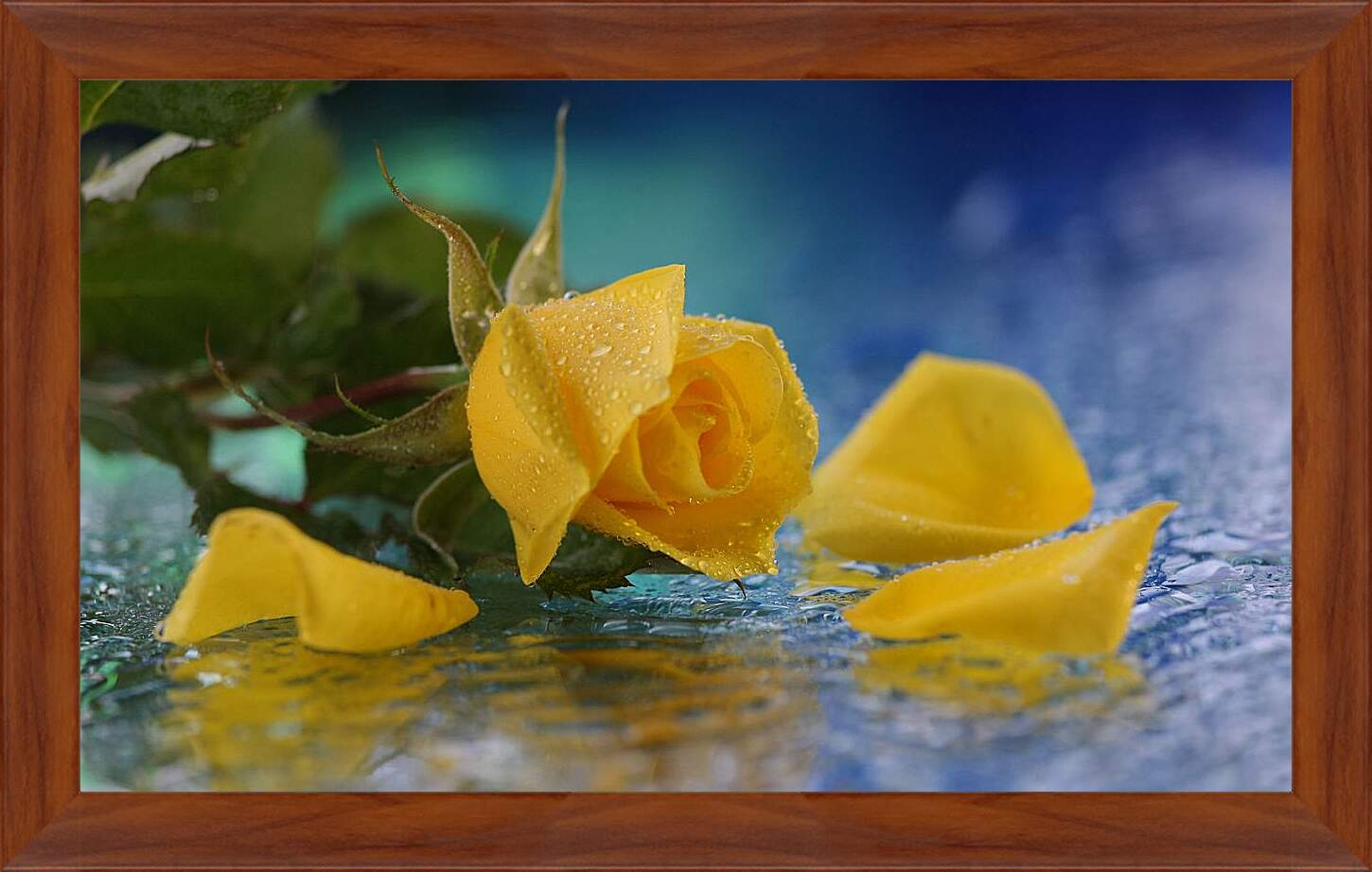 Картина в раме - Желтая роза