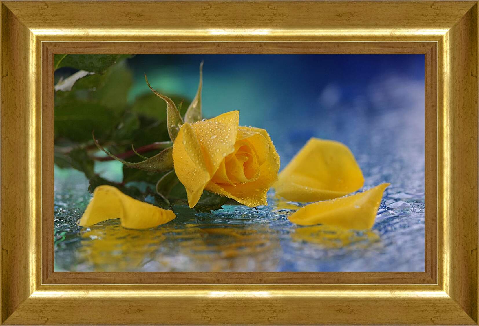 Картина в раме - Желтая роза