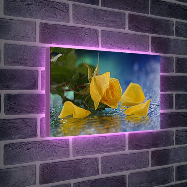 Лайтбокс световая панель - Желтая роза
