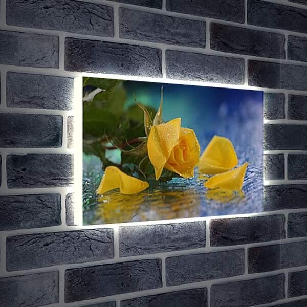 Лайтбокс световая панель - Желтая роза