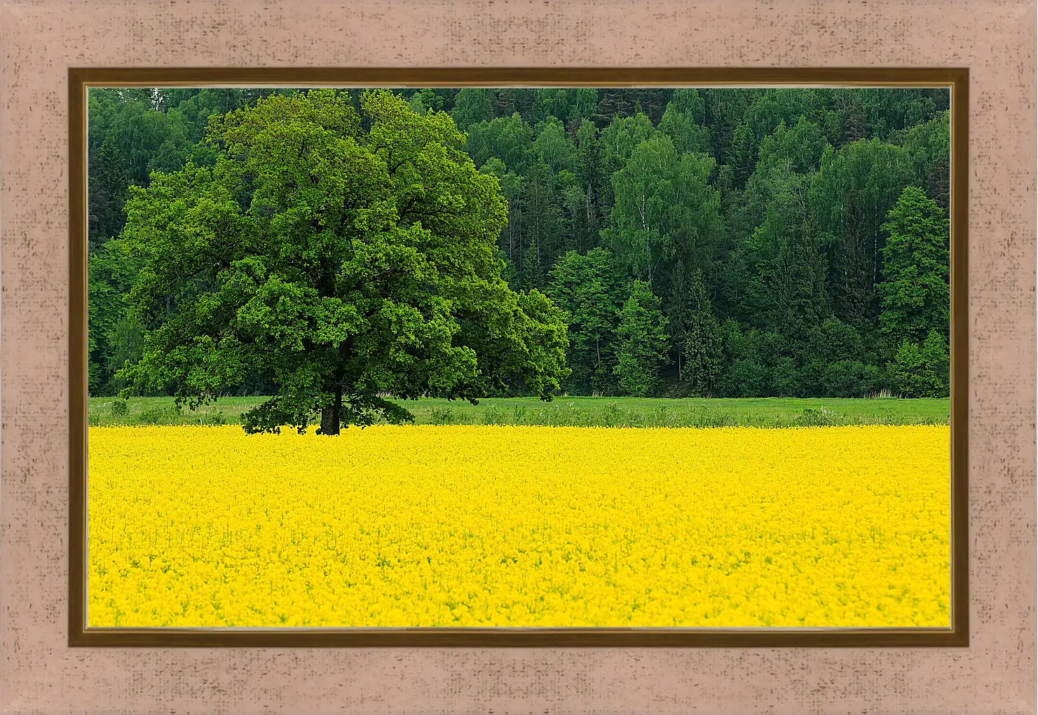 Картина в раме - Весна