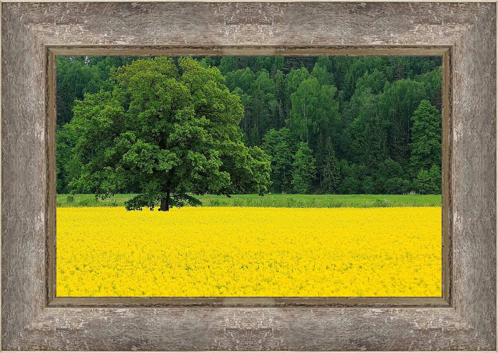 Картина в раме - Весна