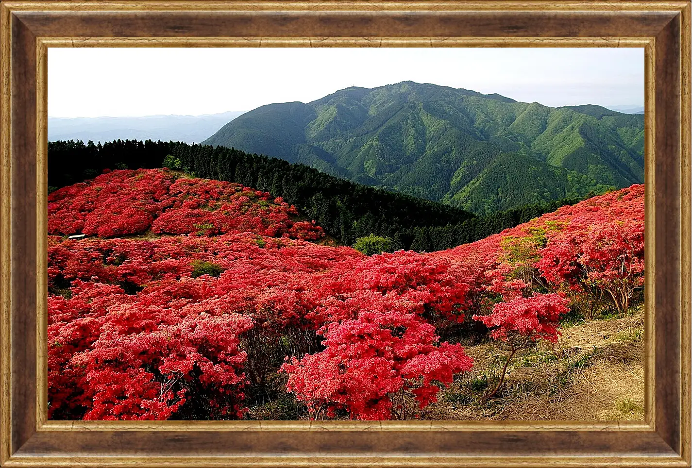 Картина в раме - Весна