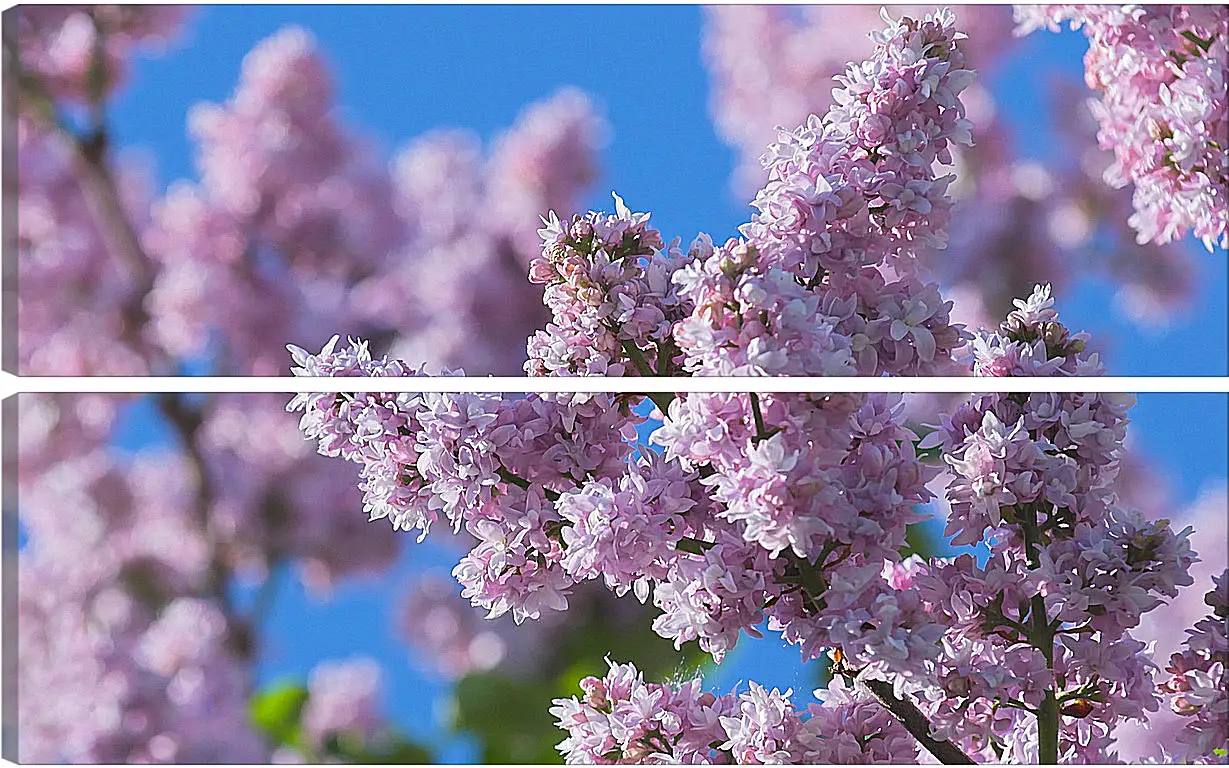 Модульная картина - Весна