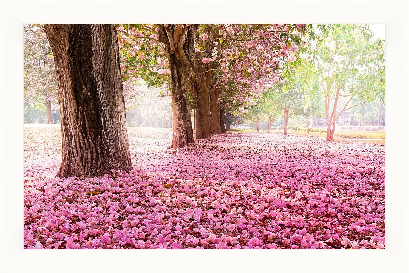 Картина в раме - Весна