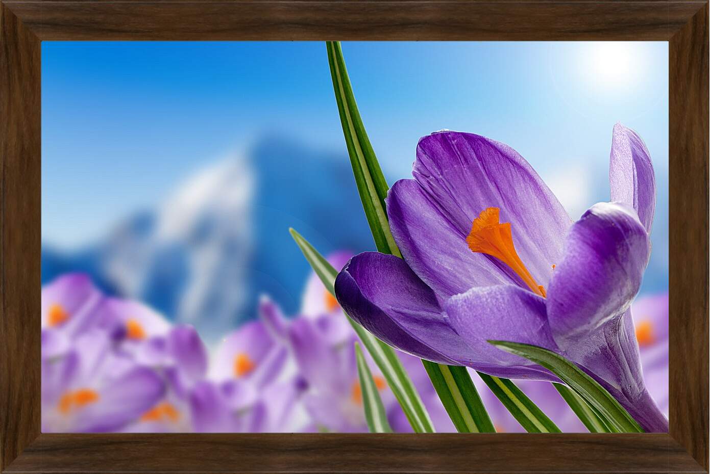 Картина в раме - Весна