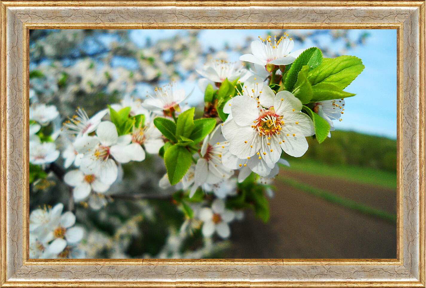 Картина в раме - Весна
