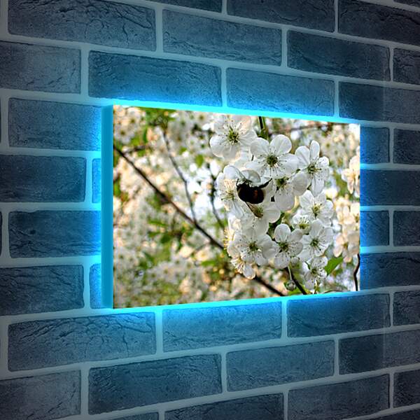 Лайтбокс световая панель - Весна