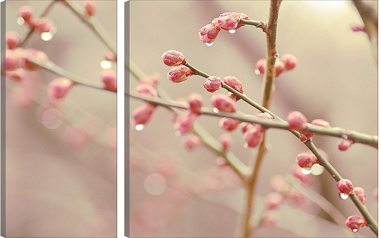 Модульная картина - Весна