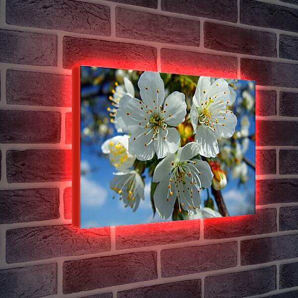 Лайтбокс световая панель - Весна