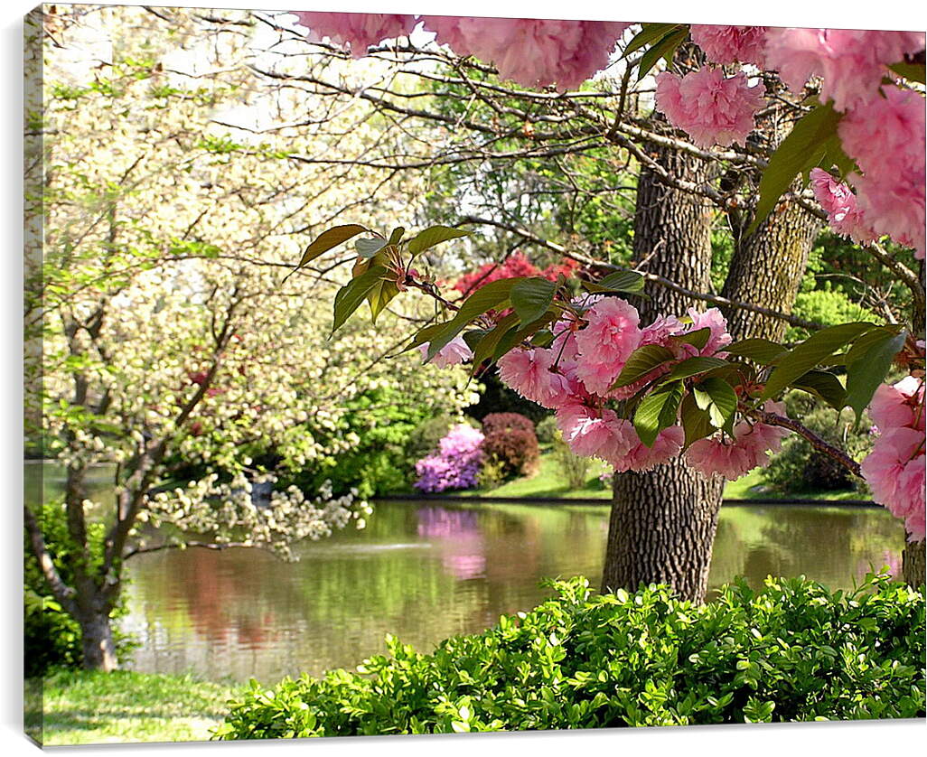 Постер и плакат - Цветущий весенний сад