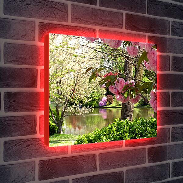 Лайтбокс световая панель - Цветущий весенний сад
