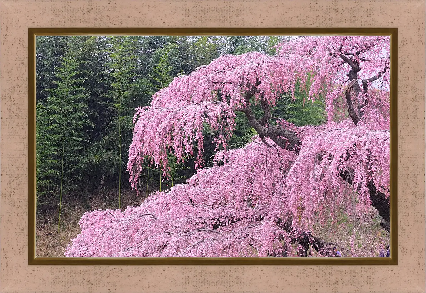 Картина в раме - Весна