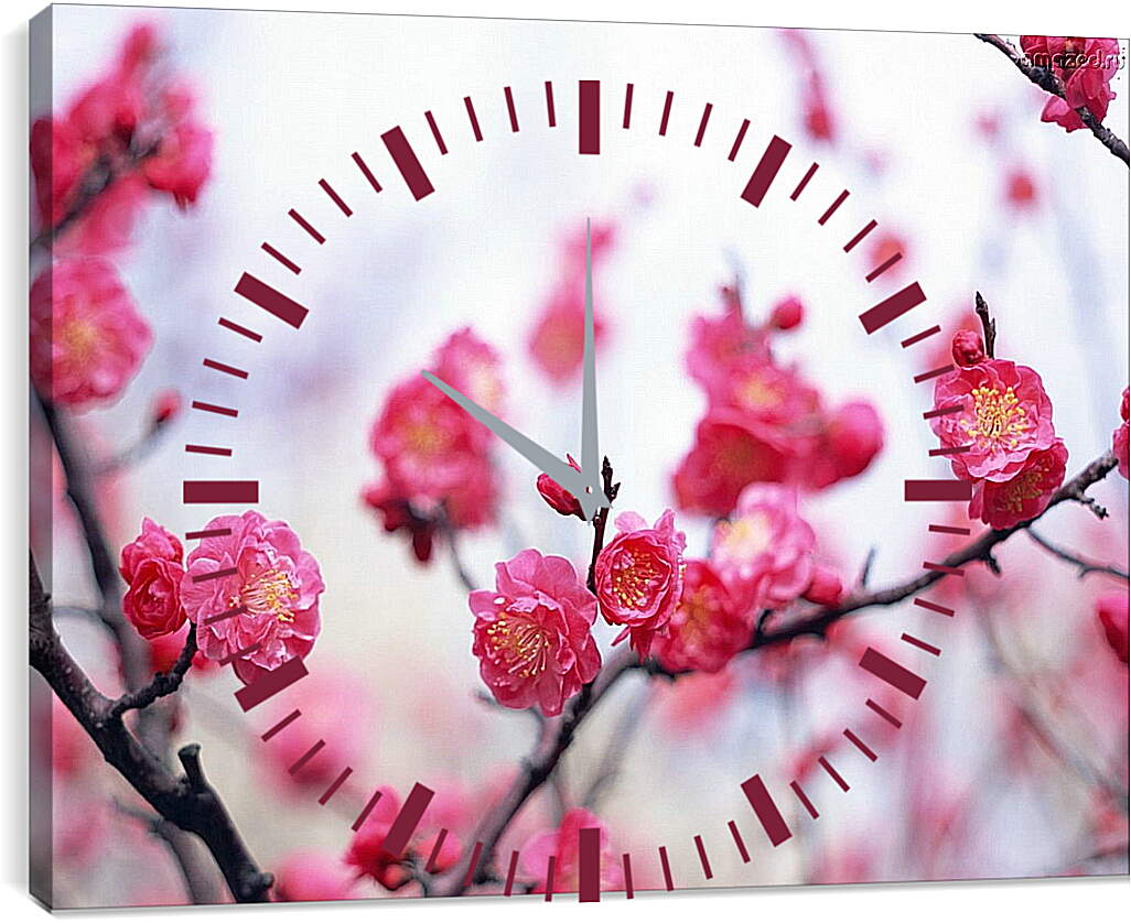 Часы картина - Цветущая сакура