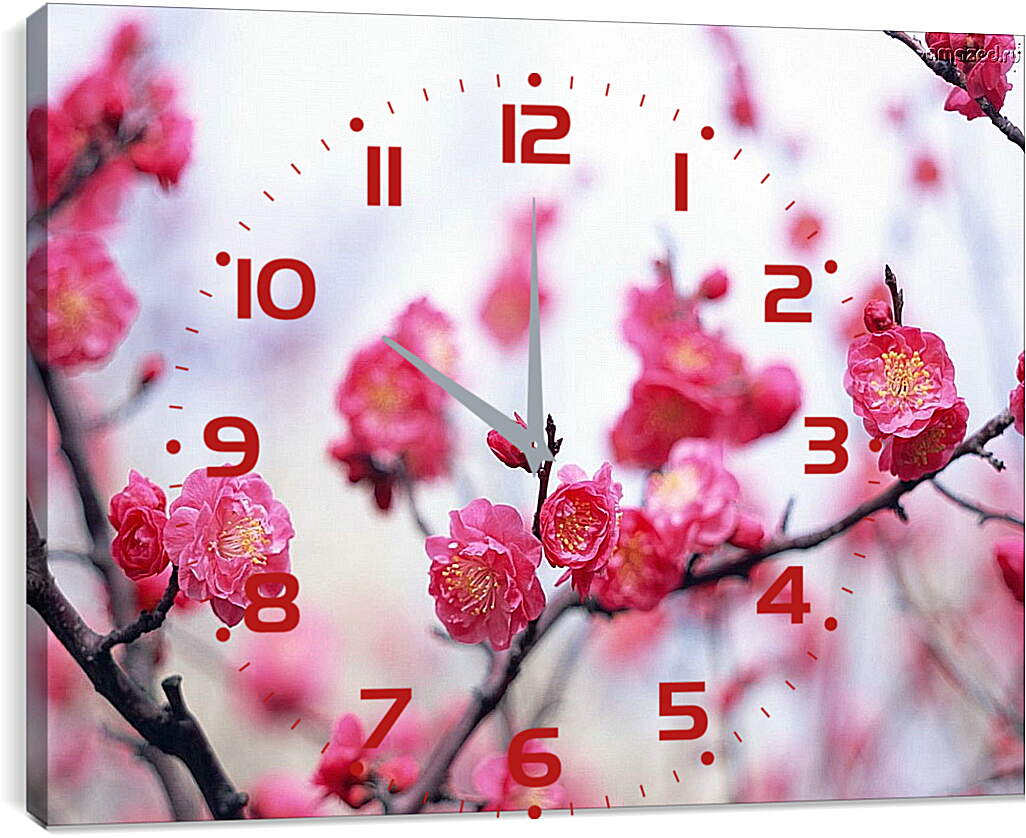 Часы картина - Цветущая сакура