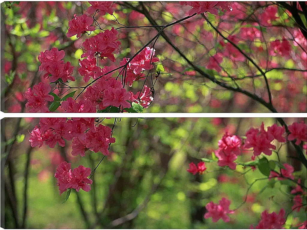 Модульная картина - Весна