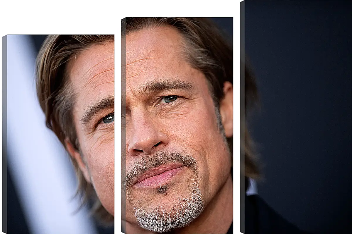 Модульная картина - Брэд Питт. Brad Pitt