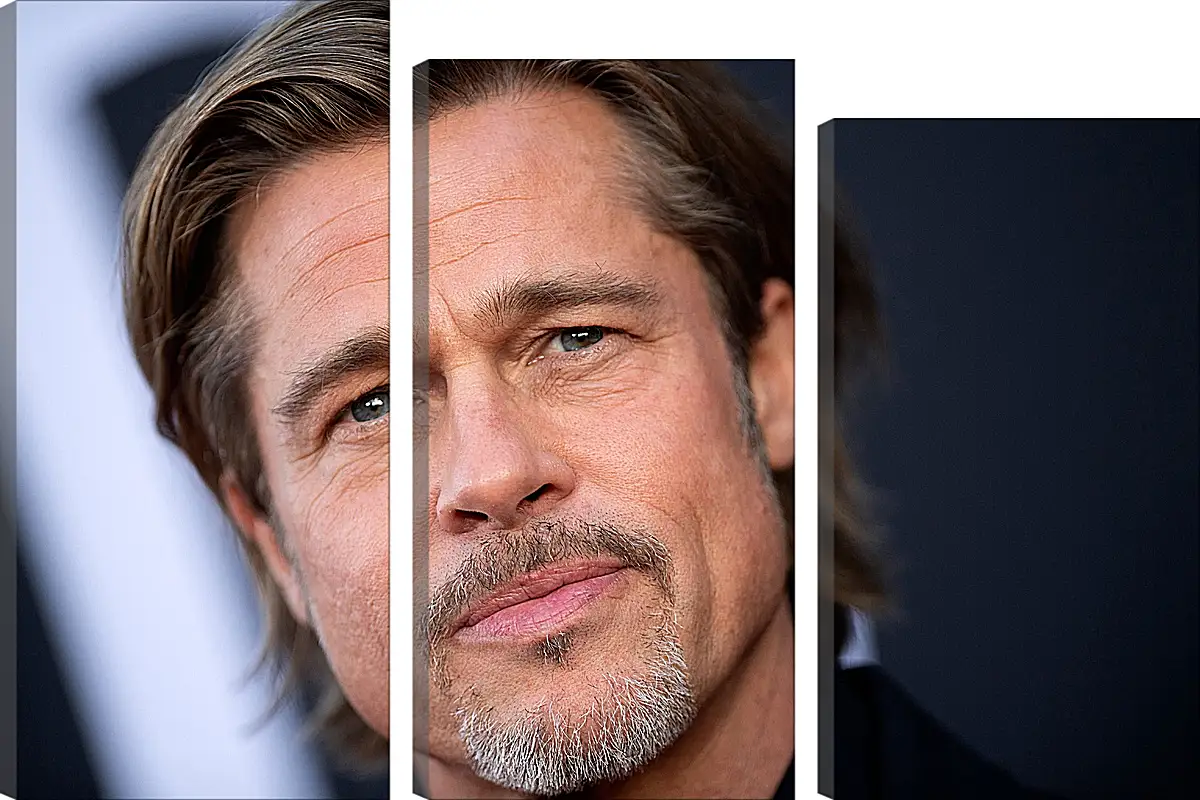 Модульная картина - Брэд Питт. Brad Pitt