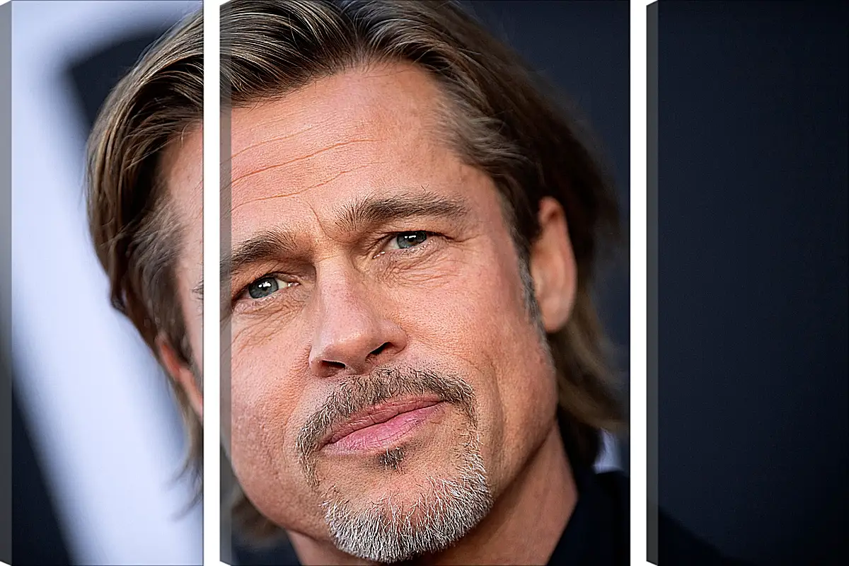 Модульная картина - Брэд Питт. Brad Pitt