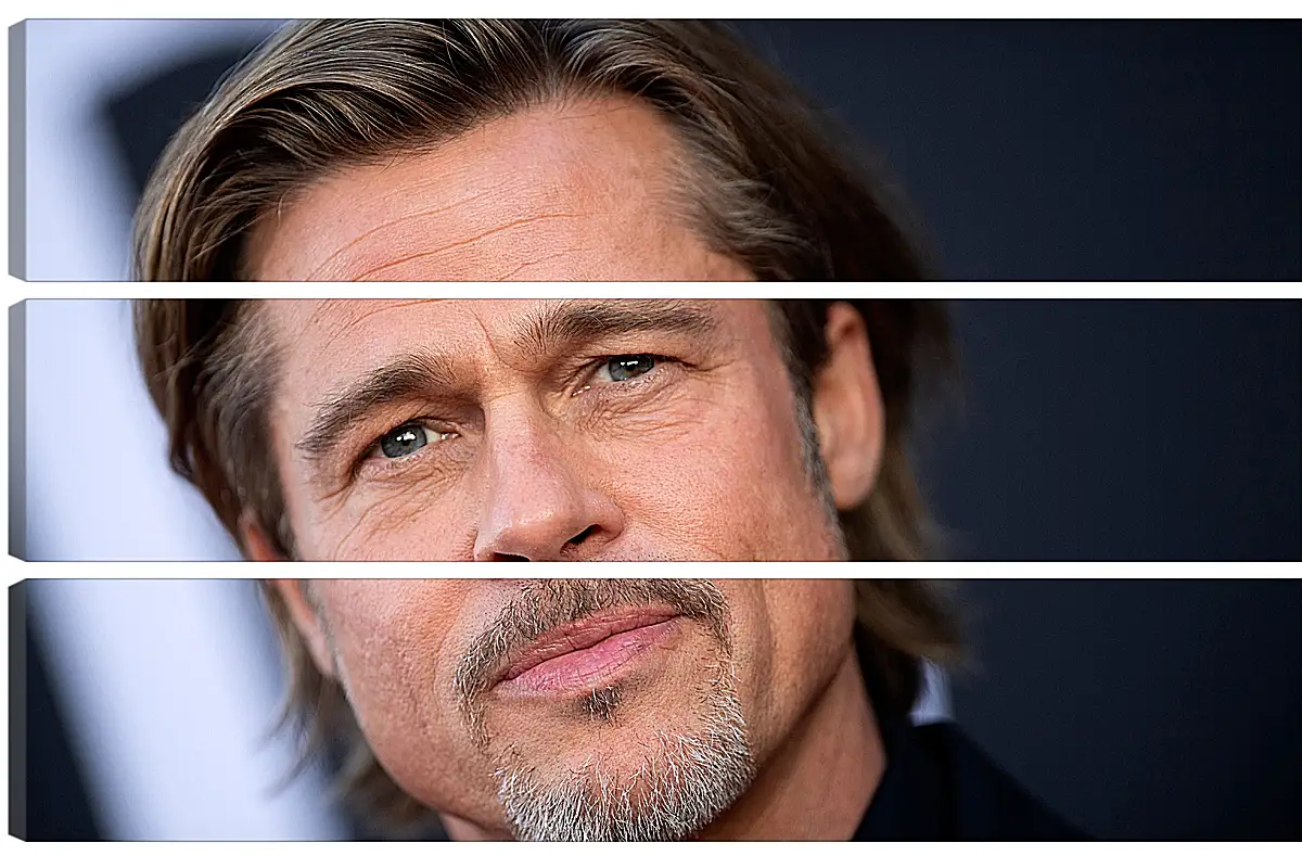 Модульная картина - Брэд Питт. Brad Pitt