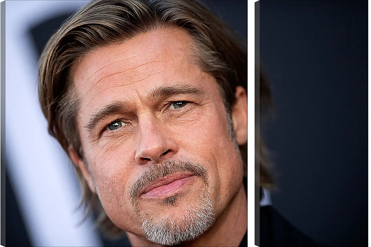 Модульная картина - Брэд Питт. Brad Pitt