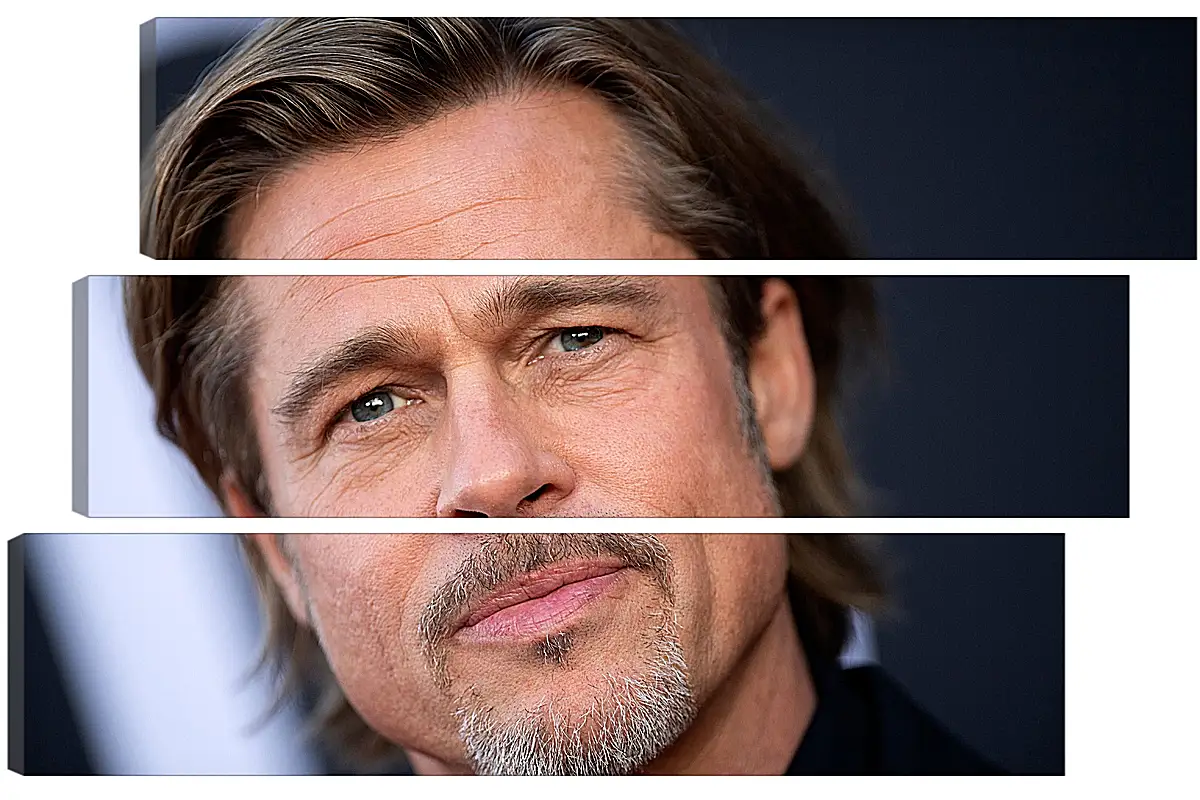 Модульная картина - Брэд Питт. Brad Pitt